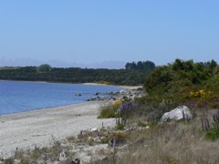 Frasers Beach, Lake Manapouri Frasers Beach, Lake Manapouri